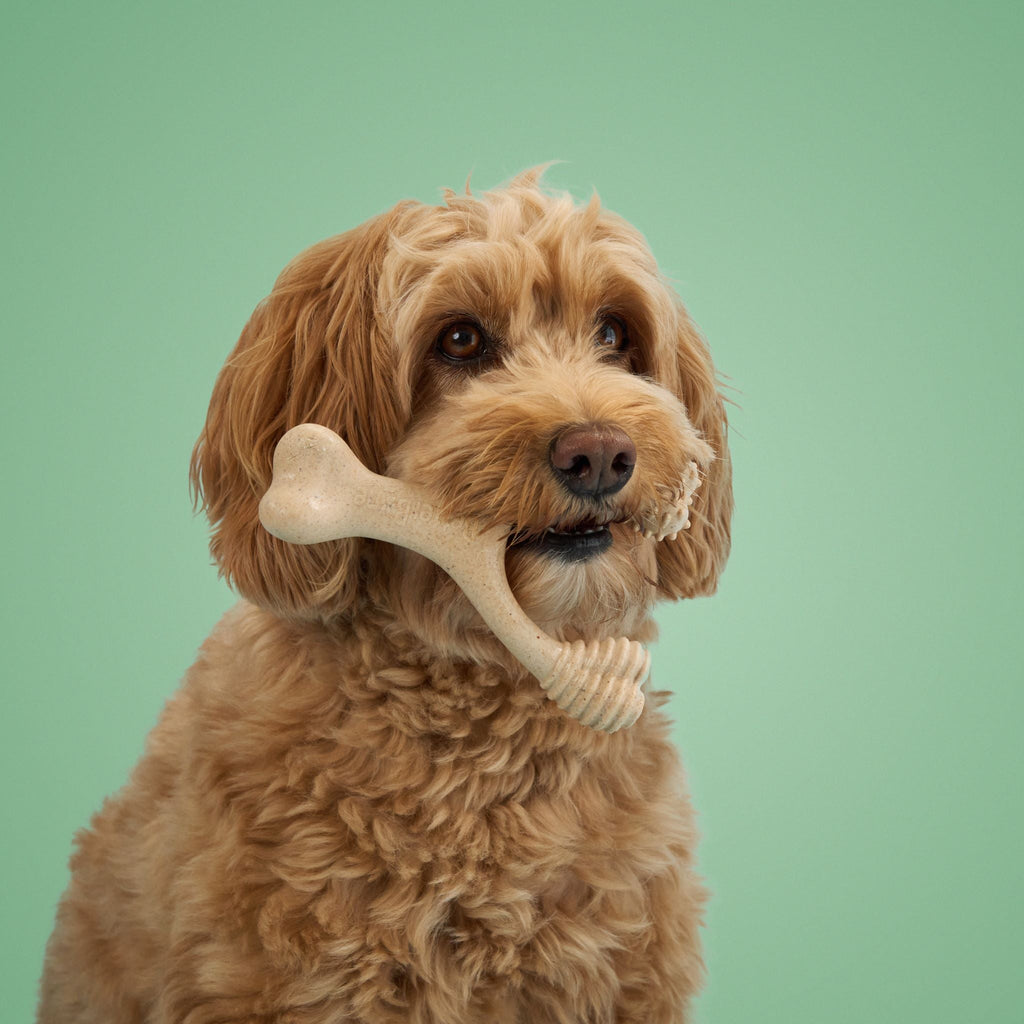BetterBone MODERATE Durability CHEW TOY: Perfect Chew for Everyday Chewers | Naturally Derived Ingredients, Eco-Friendly, Non-Toxic