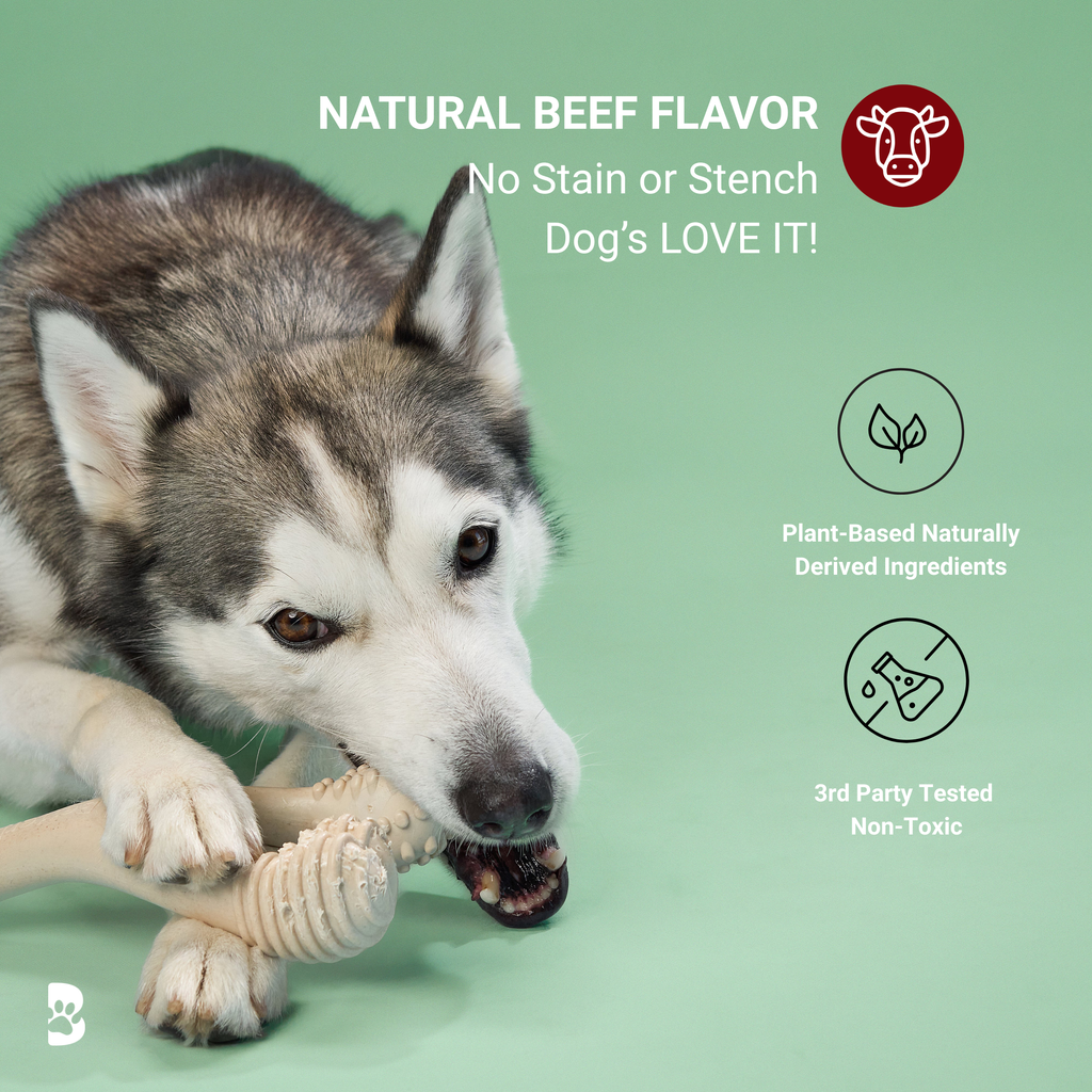 BetterBone MODERATE Durability CHEW TOY: Perfect Chew for Everyday Chewers | Naturally Derived Ingredients, Eco-Friendly, Non-Toxic